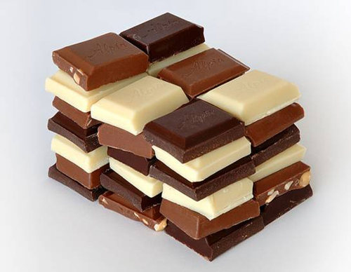 Chocolate Bloom Chocolate Bloom
